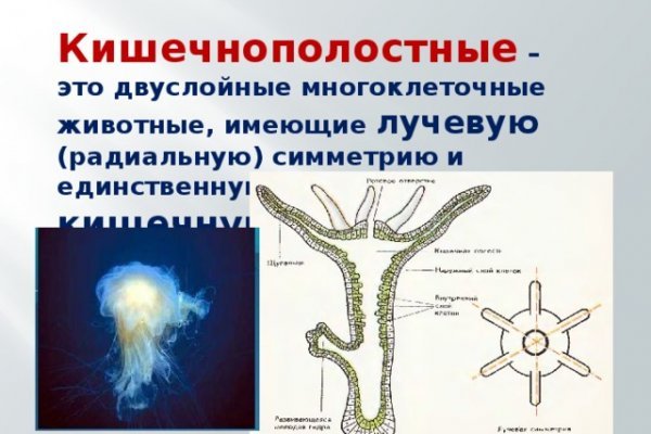 Кракен новое зеркало