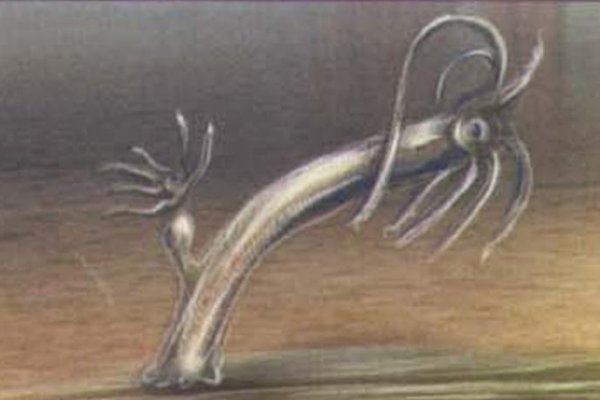 Kraken торговая площадка ссылка