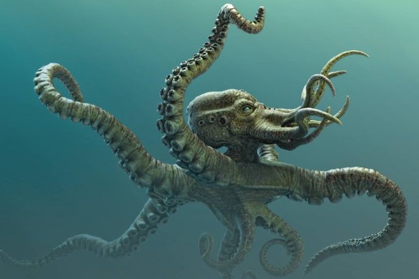 Ссылка для входа на сайт kraken