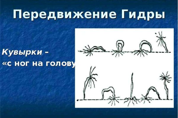 Кракен 2krnk