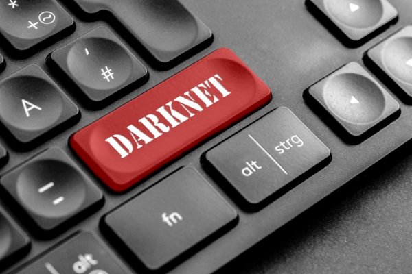 Как вывести деньги с kraken