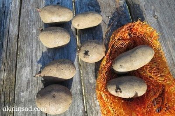 Пользователь не найден при входе на кракен