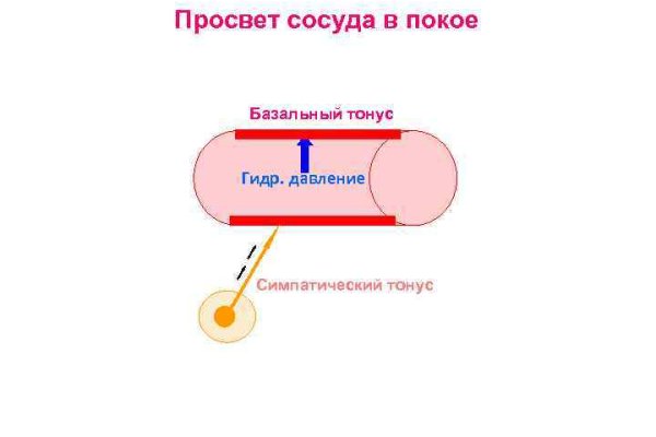 Кракен at